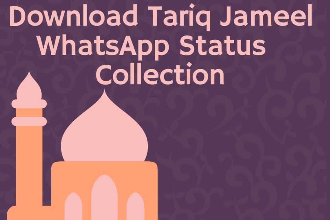 Tariq Jameel WhatsApp Status